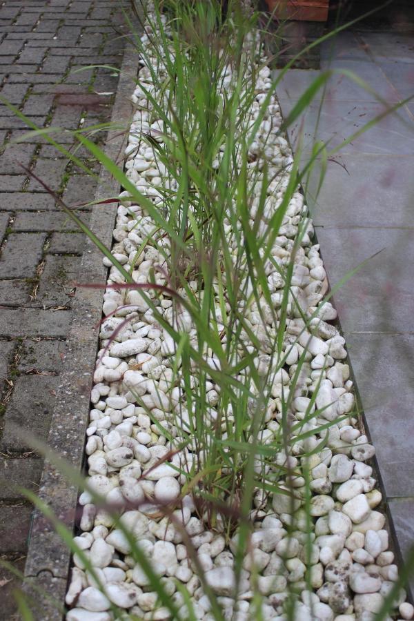 Selemo B&B - Business And Breakfast Ghent Exterior photo